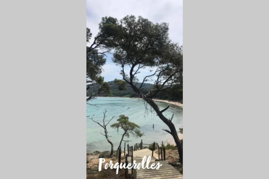 Maison Avec Jardin, Parking Entre Mer Et Montagne Le Revest-le-Eaux المظهر الخارجي الصورة